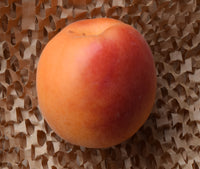 Apricots - Each