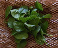 Baby Spinach - 100g