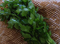 Parsley - Flat/Continental - Bunch