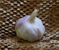 Garlic - Each
