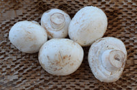 Mushrooms Button - 250g