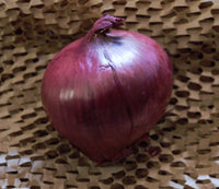 Onion - Red - Each