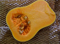 Pumpkin Butternut (1/2)