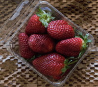 Strawberries - Punnet
