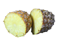 Pineapple - Sugar - Whole